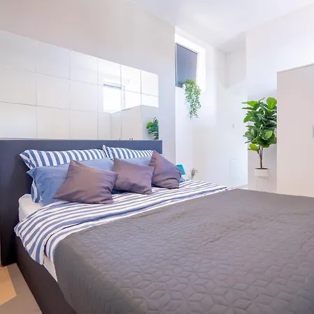 Fran Center بولا