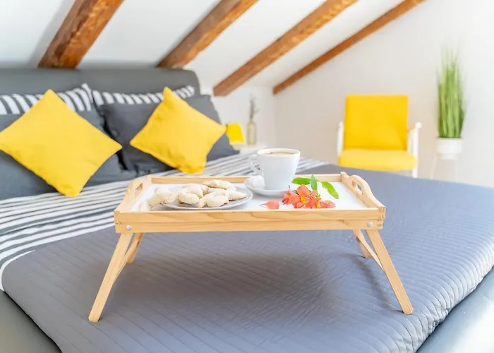 Fran Center Пула