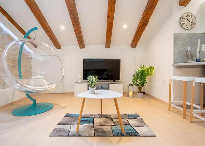 Fran Center 公寓 普拉